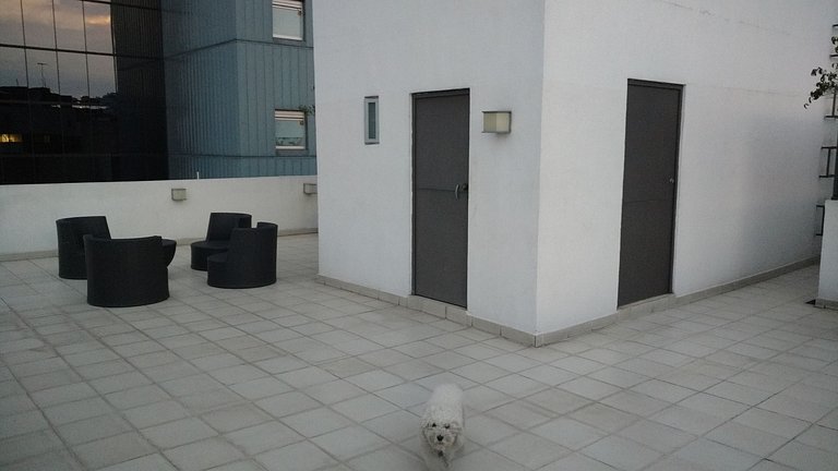 Apartment at just 30 steps of Paseo de la Reforma